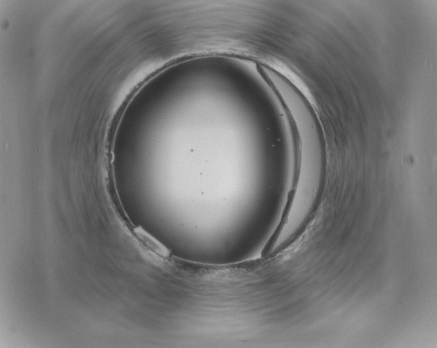 X0000075401093200609291635