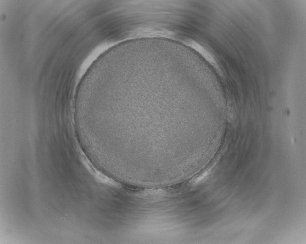 X0000075401094200609291635