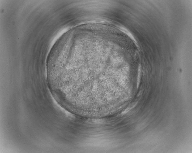 X0000075401095200609291635