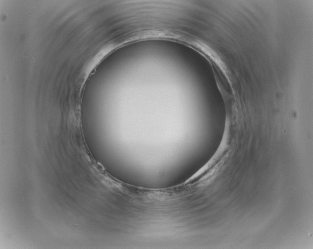 X0000075401097200609291635