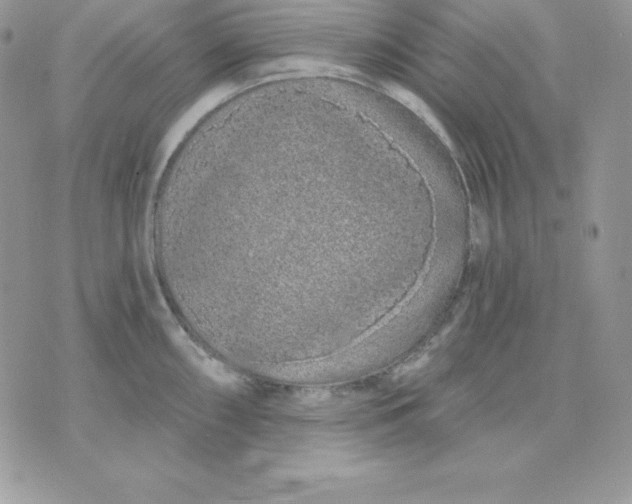 X0000075401098200609291635