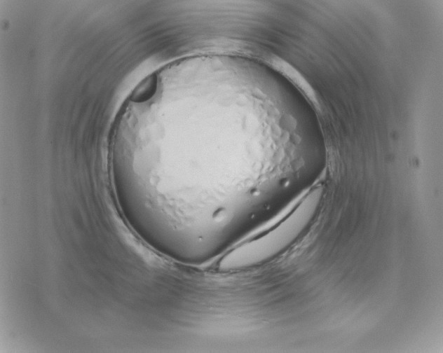 X0000075401099200609291635