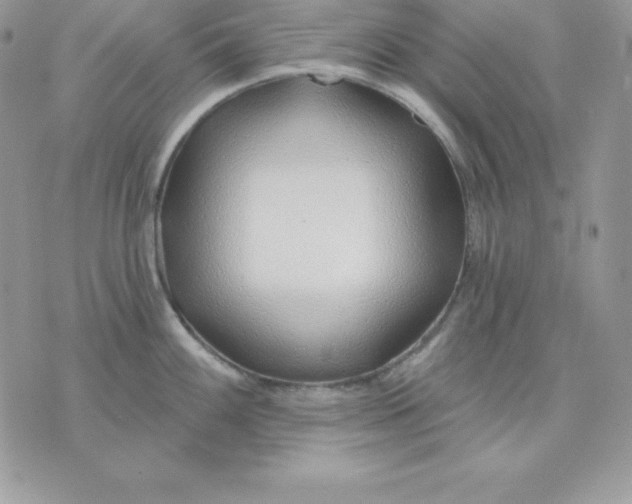 X0000075401100200609291635