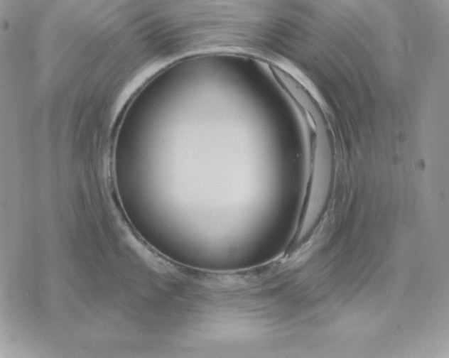 X0000075401101200609291635