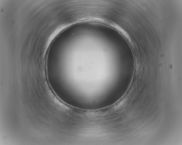 X0000075401102200609291635