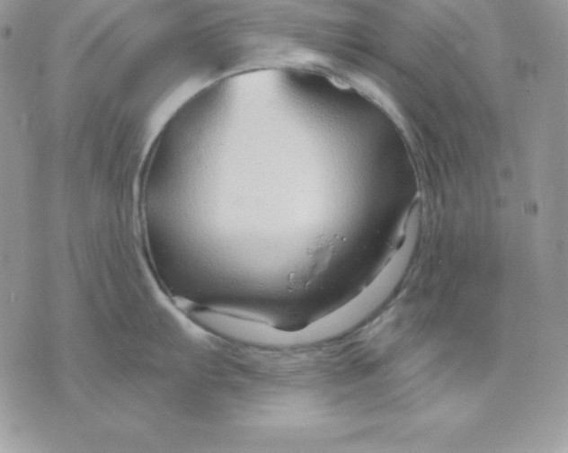 X0000075401103200609291635