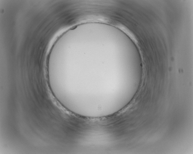 X0000075401104200609291635