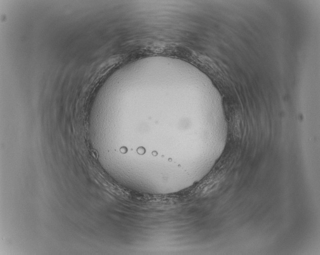 X0000075401105200609291634