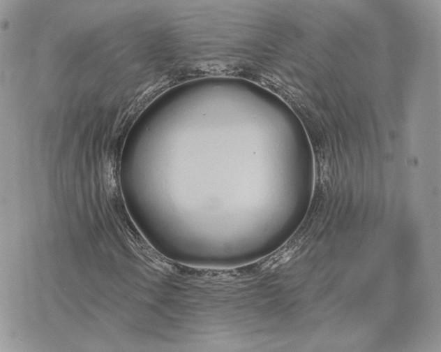 X0000075401106200609291634