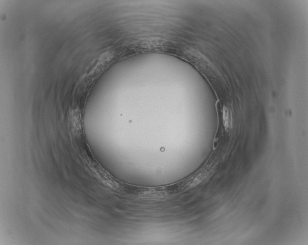 X0000075401107200609291634