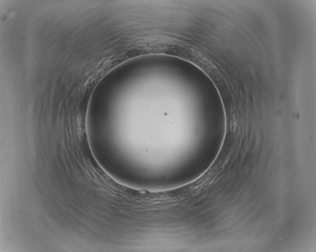 X0000075401108200609291634