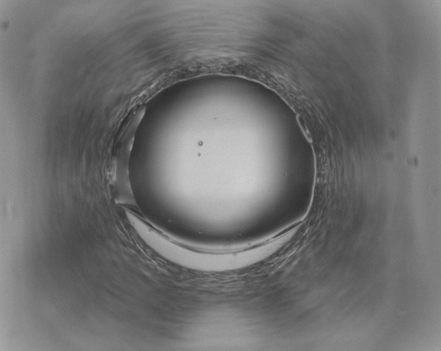 X0000075401109200609291634