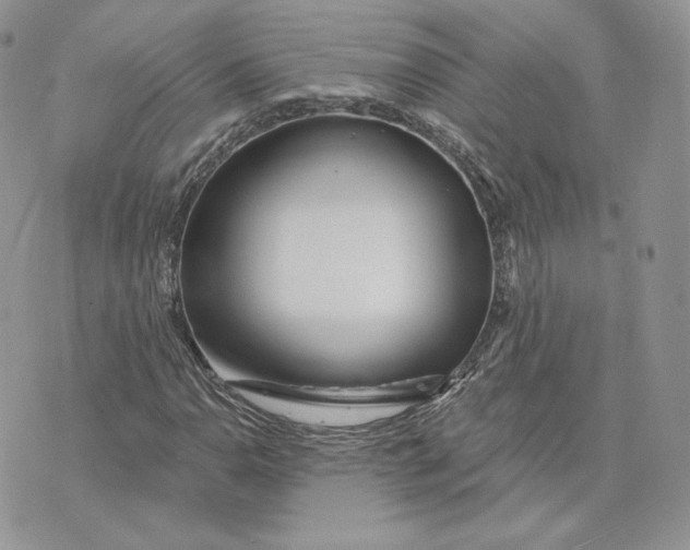 X0000075401110200609291634