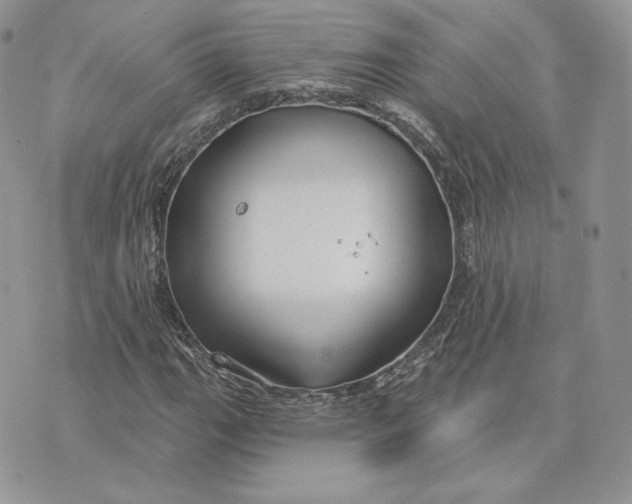 X0000075401111200609291634