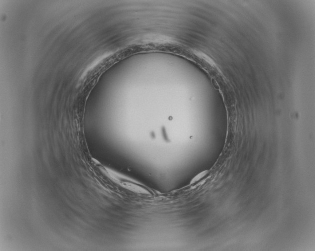 X0000075401112200609291634