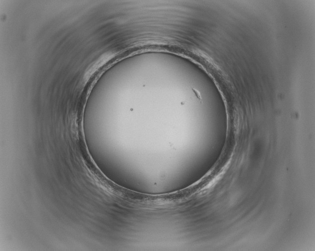 X0000075401113200609291634