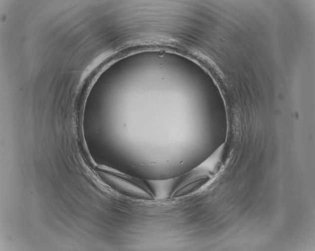 X0000075401114200609291634