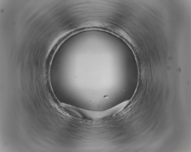 X0000075401116200609291634