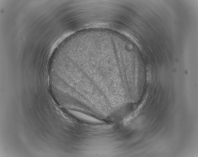 X0000075401117200609291634