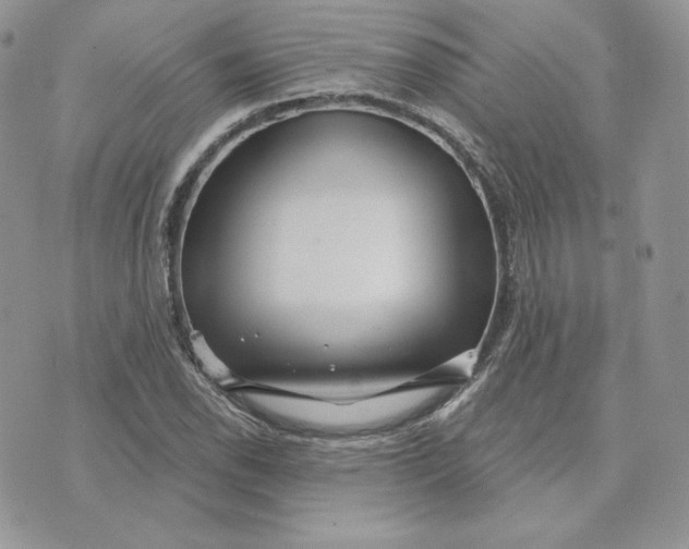 X0000075401118200609291634