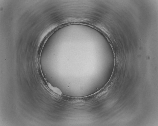 X0000075401119200609291634