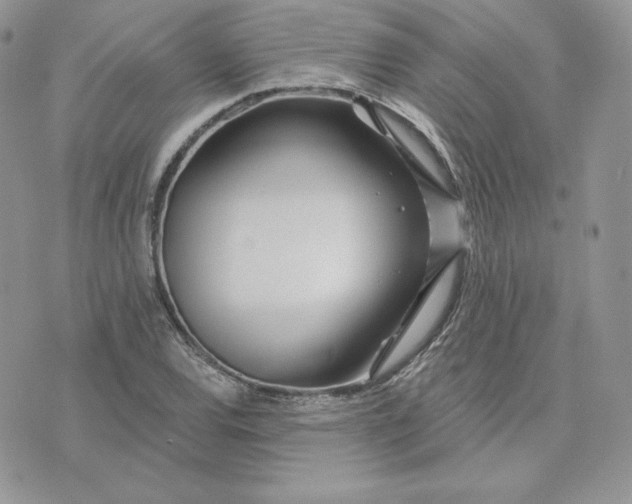 X0000075401120200609291634