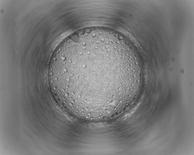 X0000075401121200609291634