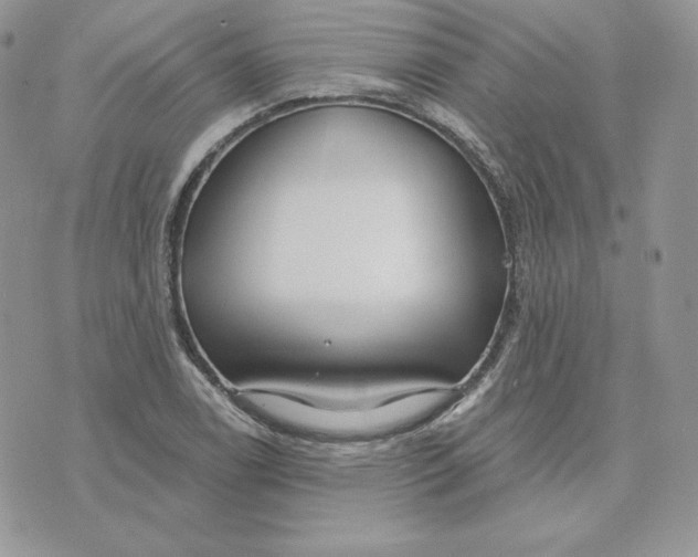 X0000075401122200609291634