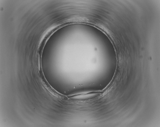 X0000075401123200609291634