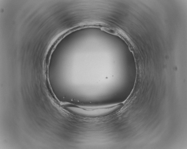 X0000075401124200609291634