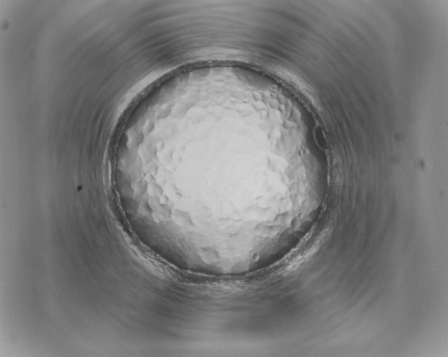 X0000075401125200609291634