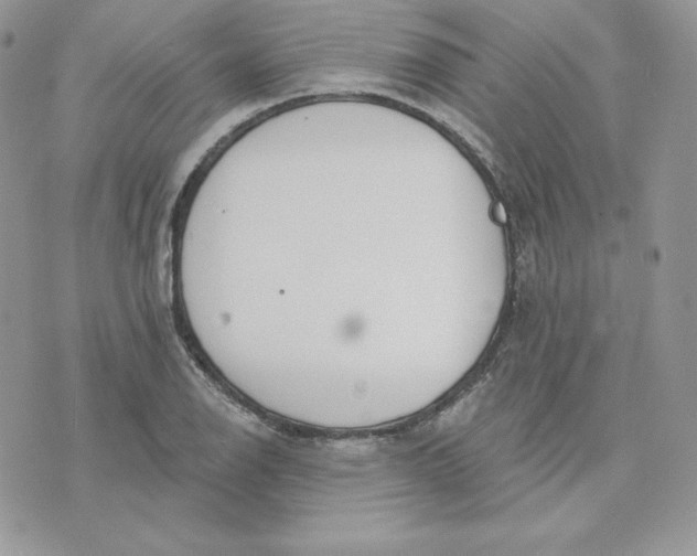 X0000075401126200609291634