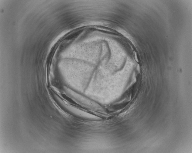 X0000075401127200609291634