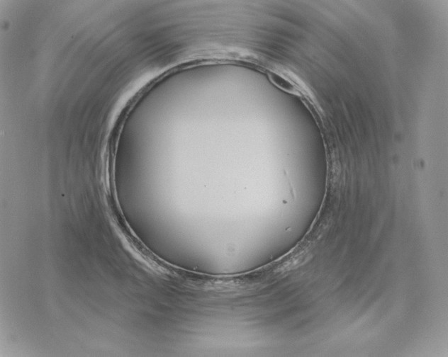 X0000075401128200609291634