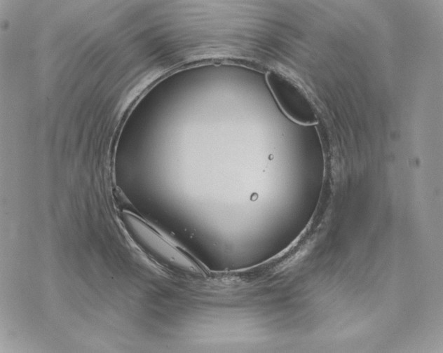 X0000075401129200609291634