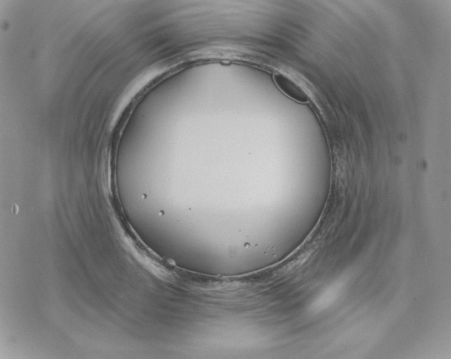 X0000075401131200609291634