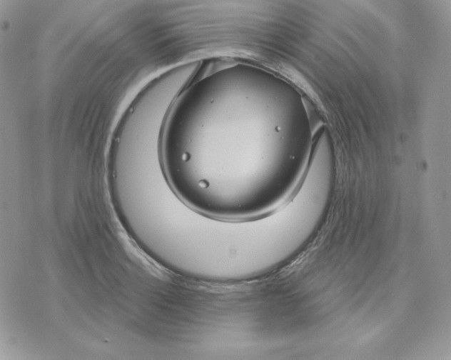 X0000075401132200609291634