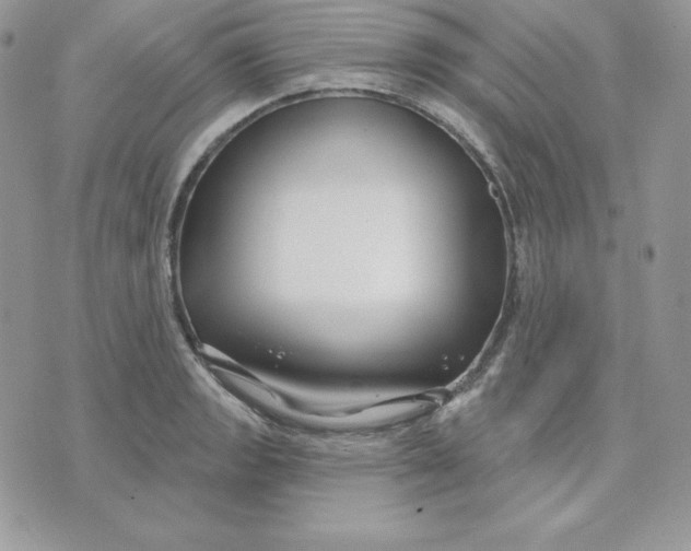 X0000075401133200609291634