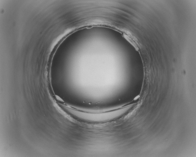 X0000075401134200609291634