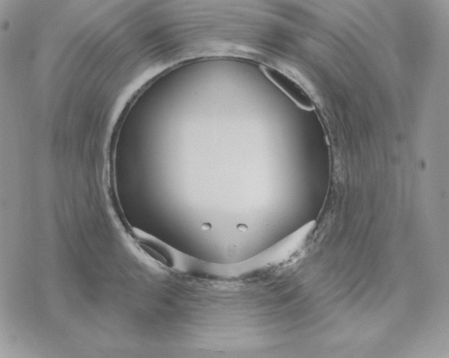 X0000075401136200609291635