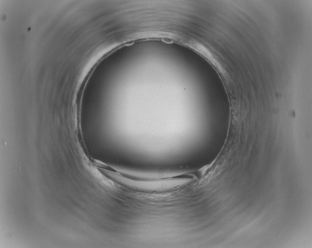 X0000075401140200609291635