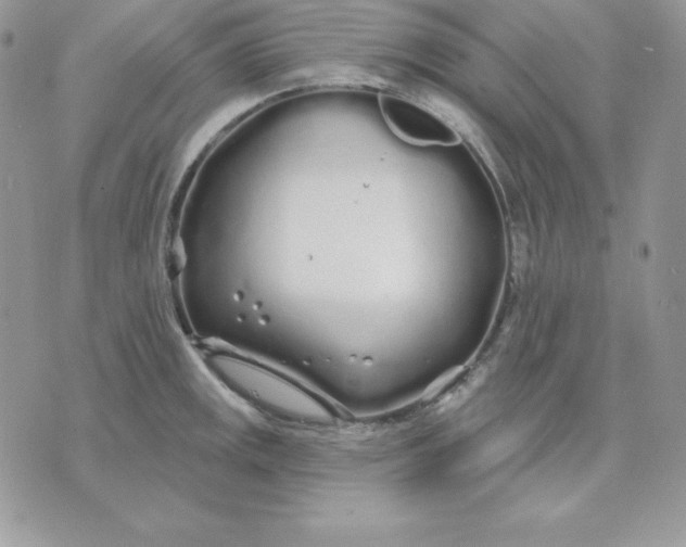 X0000075401141200609291635