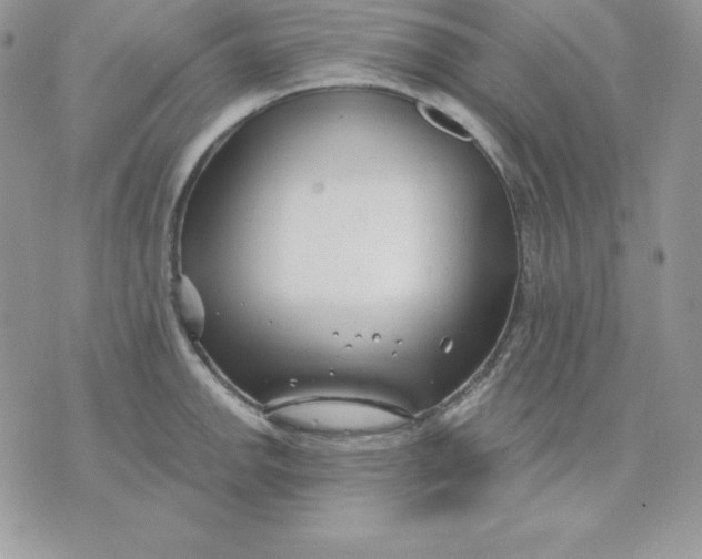 X0000075401142200609291635