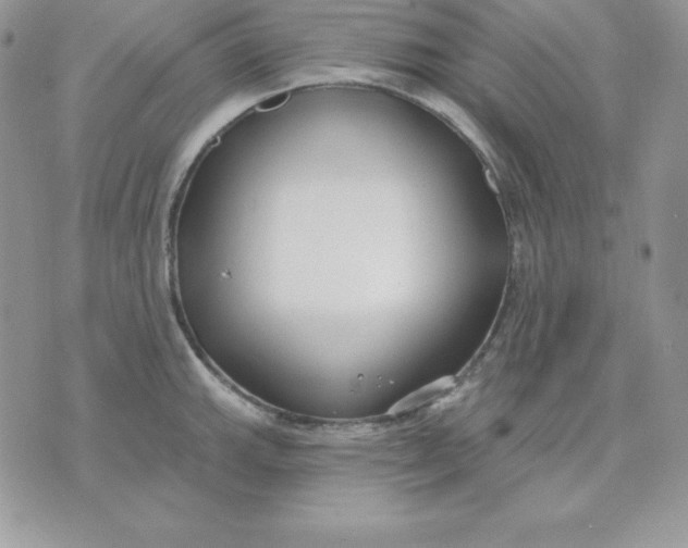 X0000075401143200609291635