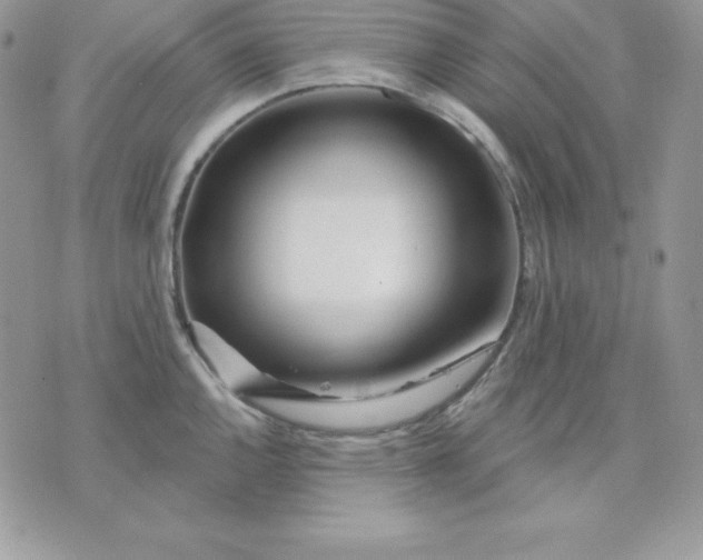 X0000075401144200609291635