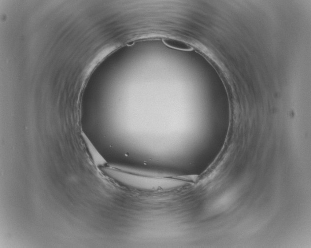 X0000075401145200609291635