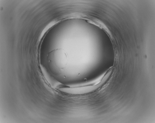 X0000075401146200609291635