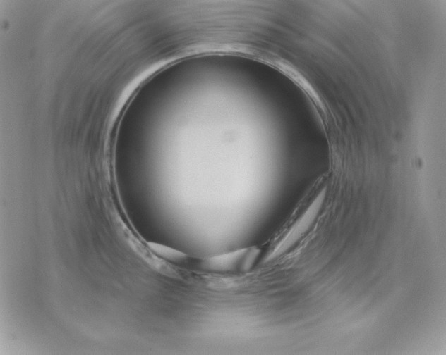 X0000075401148200609291635