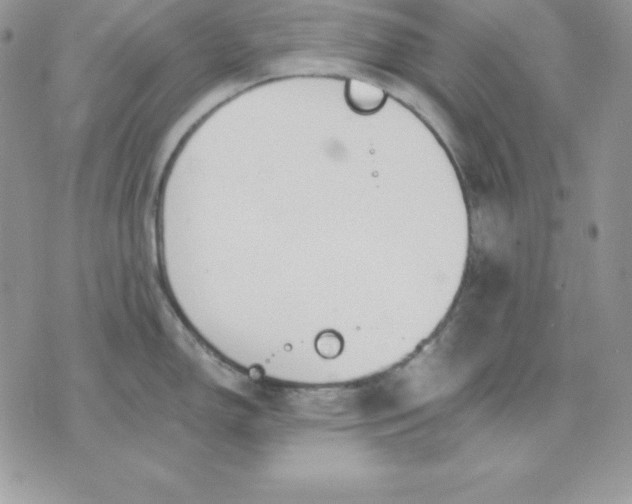 X0000075401150200609291635