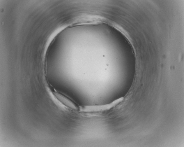 X0000075401152200609291635